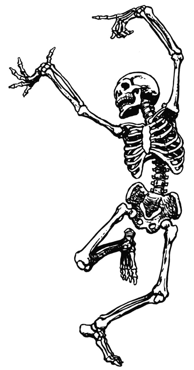 Dancing Skeleton Clipart مجلة نقطة العلمية