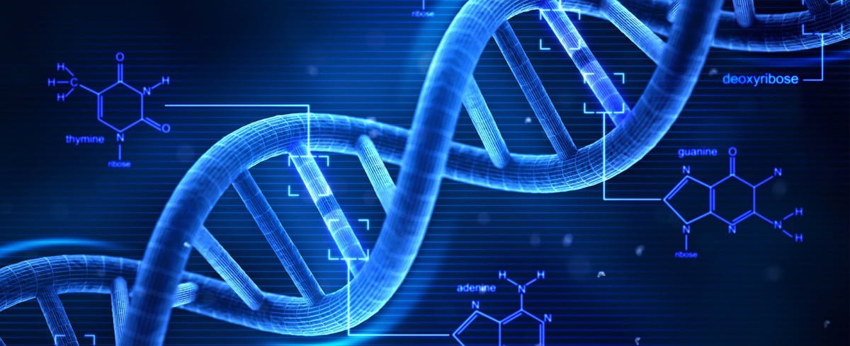 dna e1418302135703 أنزيمات تشير إلى أن الـDNA و الـRNA ليسا شرطاً أساسياً للحياة مجلة نقطة العلمية