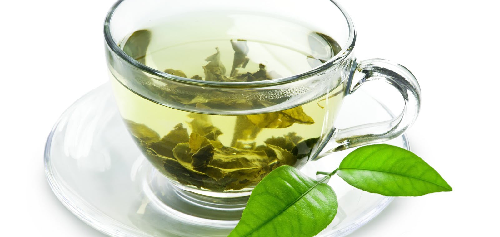 greentea3 e1437835916746 10 فوائد مثبتة علمياً للشاي الأخضر مجلة نقطة العلمية