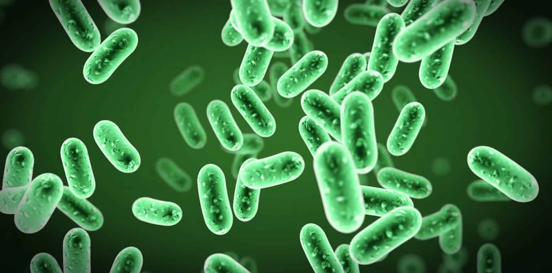 maxresdefault 2 e1464605854411 كيف نتغلب على البكتيريا؟ مجلة نقطة العلمية