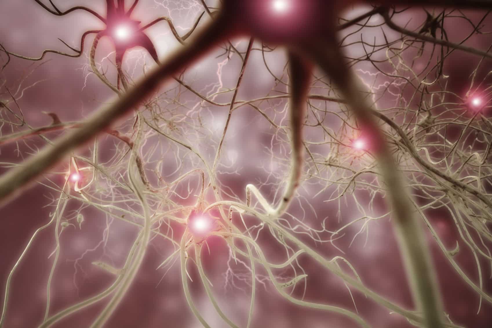 Neurology كيف يمكن للسمنة أن تؤثر على صحة وقدرة الدماغ مجلة نقطة العلمية
