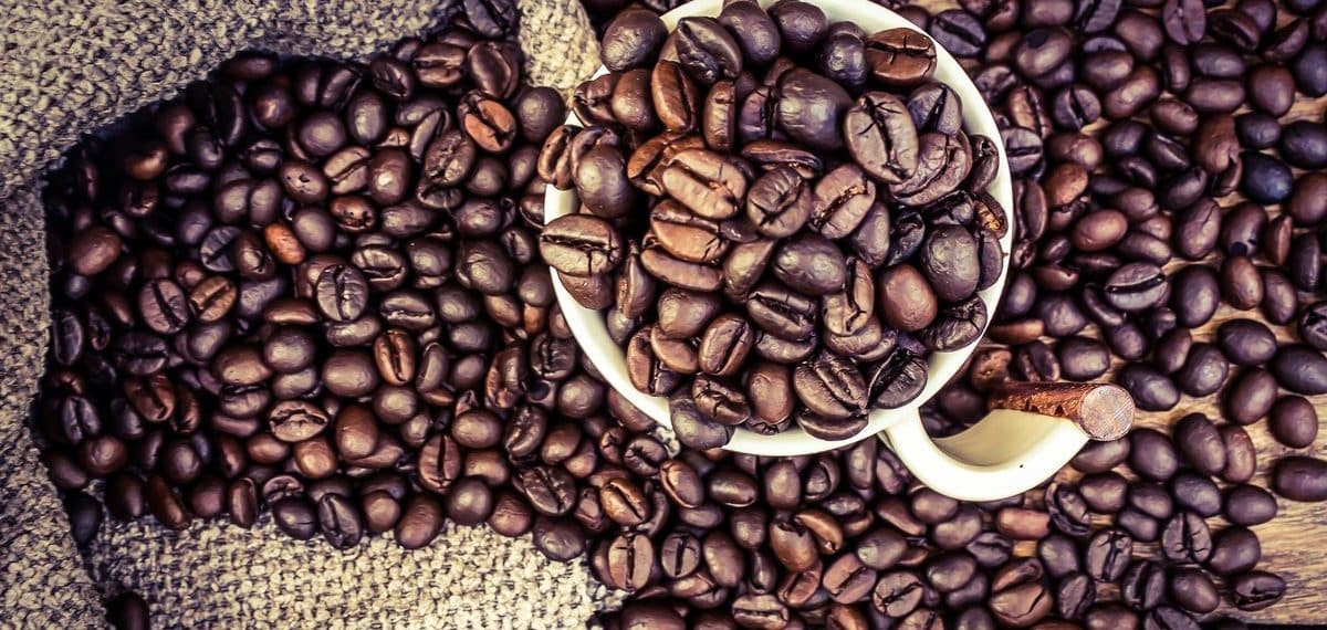 GettyImages 571245571.0 e1543661713749 طرق جديدة وغير مألوفة لإعادة استخدام بقايا القهوة! مجلة نقطة العلمية