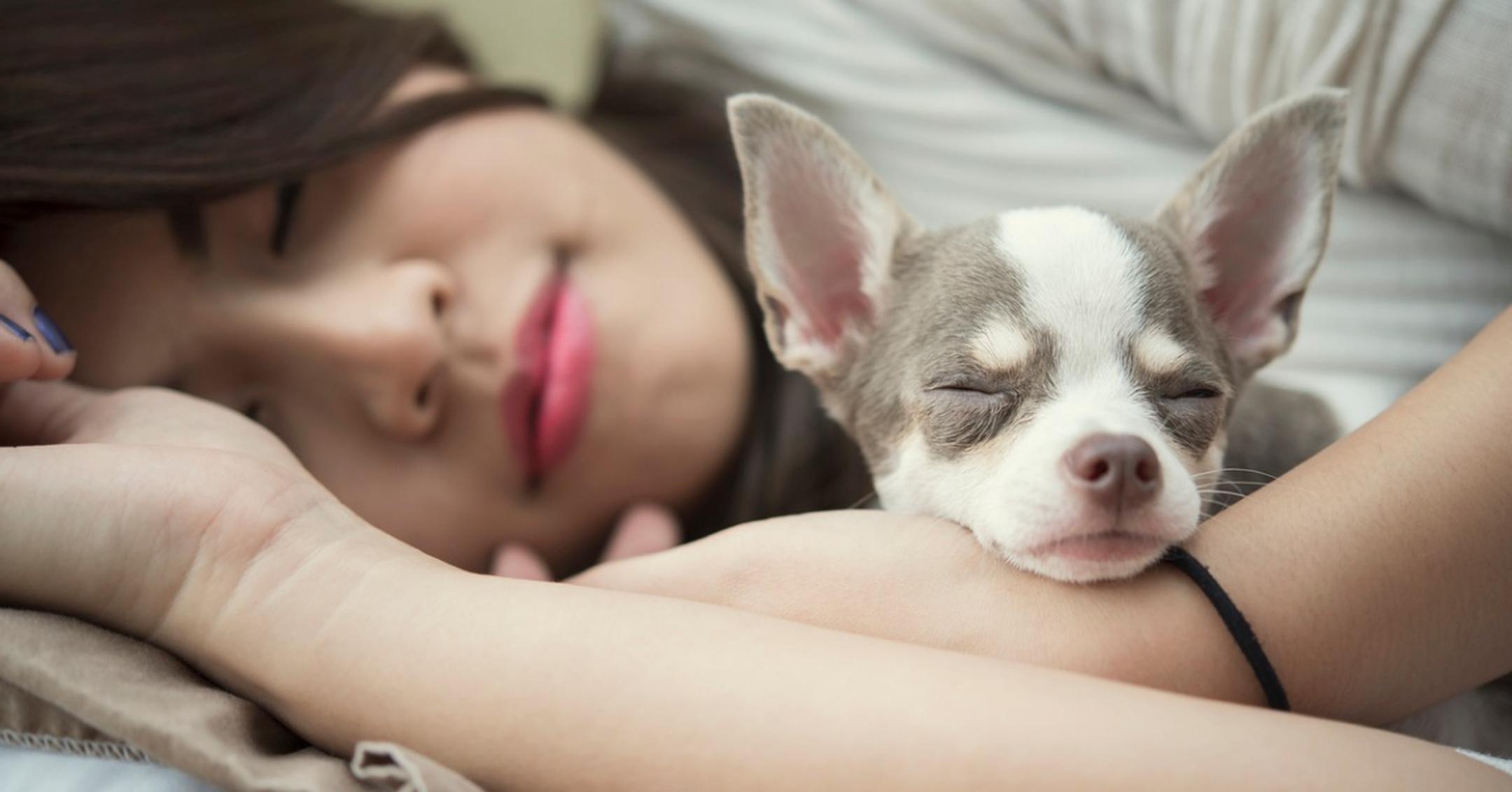 Ralaxation Concept Beautiful Woman Sleeping With Her Cute Dog On Bed Picture Id1062402658 1555682501439 مجلة نقطة العلمية