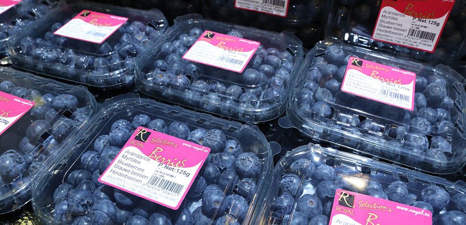 Blueberries Opt مجلة نقطة العلمية