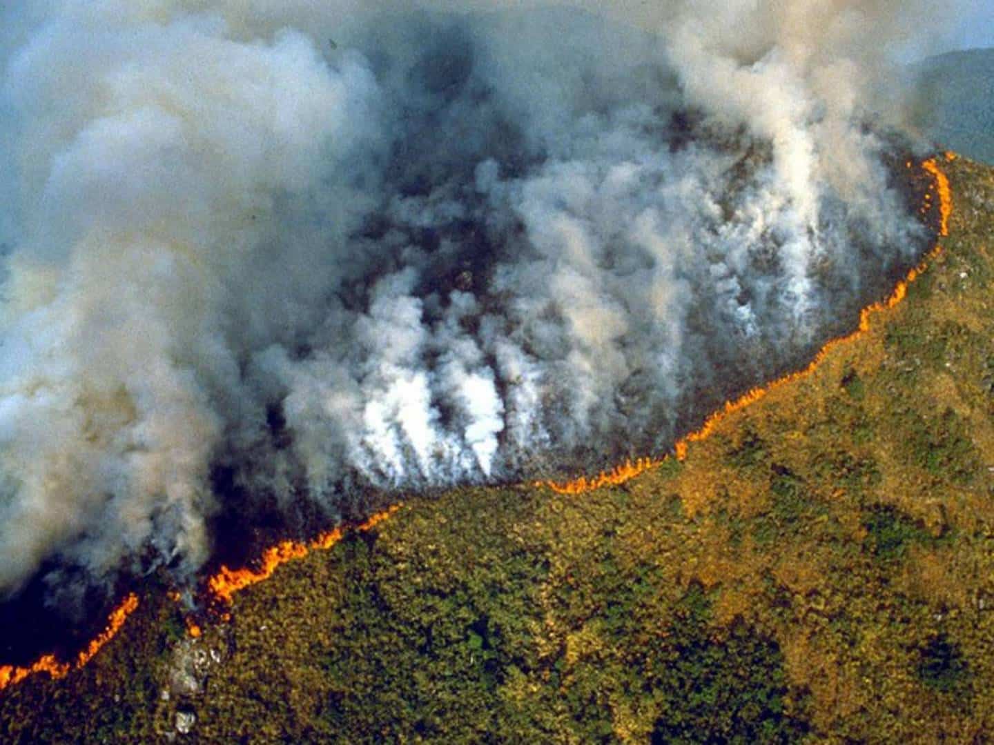 26 Amazon "رئة الأرض" تحترق منذ 3 أسابيع وغضب من عدم وجود تغطية إعلامية مجلة نقطة العلمية