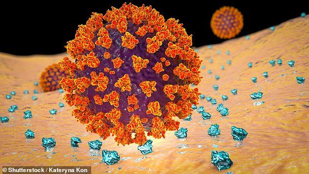 27561444 8250151 image a 6 1587659217479 طريقة جديدة لمحاربة فيروس كورونا .. نتعملها من الحرب ضد السرطان مجلة نقطة العلمية
