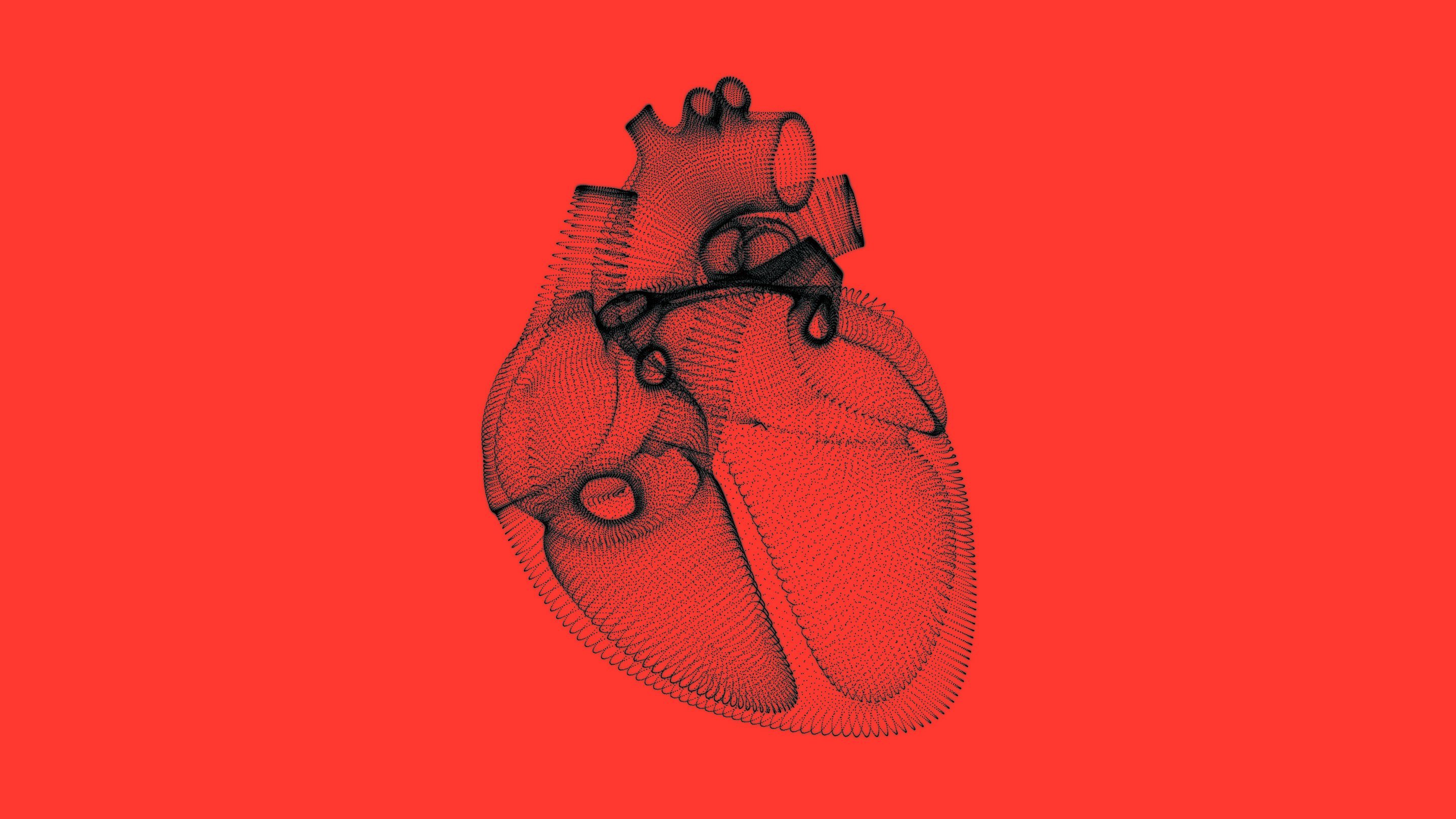 Heartbeat 2880 Lede Still كيف يؤثر قلبك على ما تتصوره وتخاف منه؟ مجلة نقطة العلمية