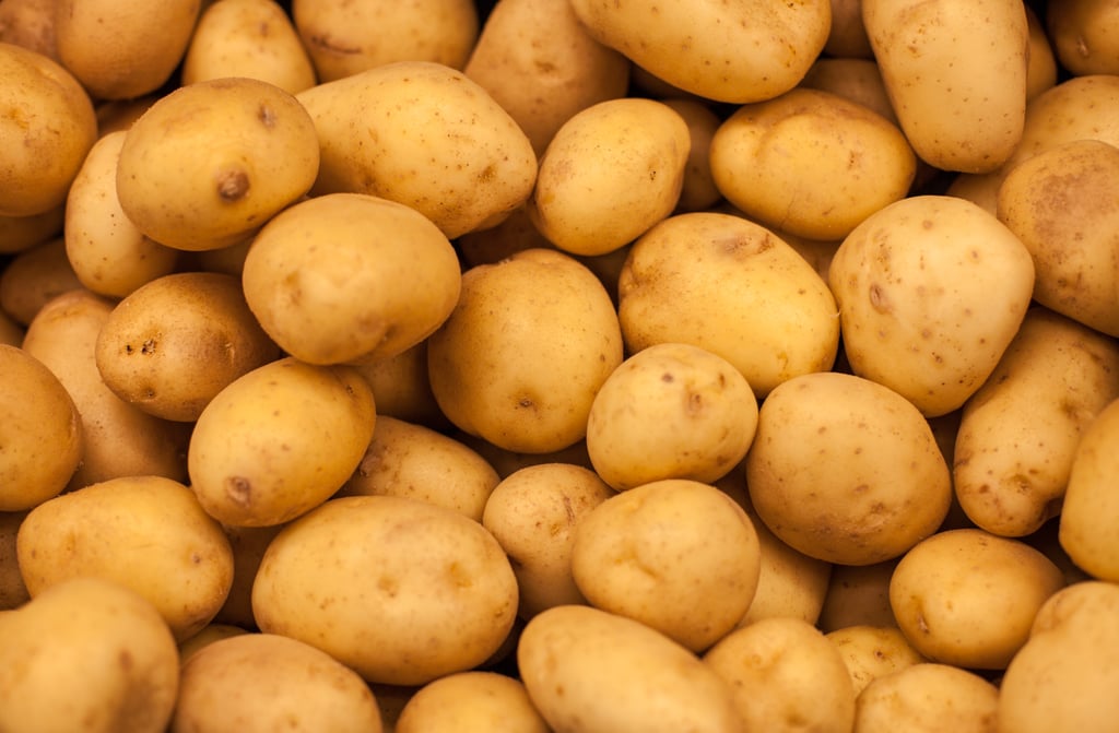 Potatoes مجلة نقطة العلمية