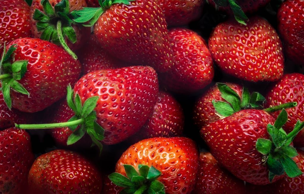 Strawberries مجلة نقطة العلمية