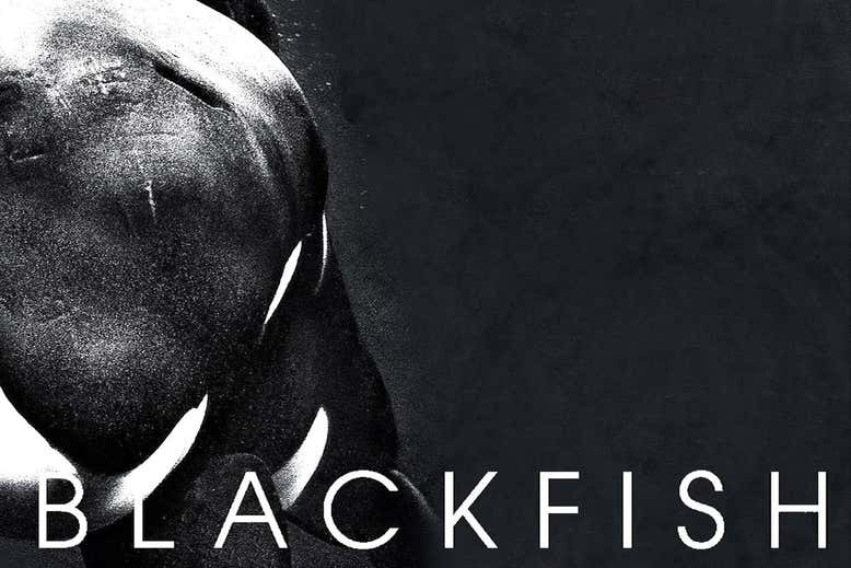 Blackfish Magnolia Pictures Web مجلة نقطة العلمية
