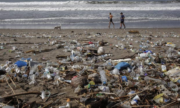 3500 الميكروبات في المحيطات والتربة في جميع أنحاء العالم تتطور لأكل البلاستيك! مجلة نقطة العلمية