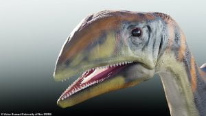50097663 10312503 An Artist S Impression Of The New Dinosaur Species Called Issi S A 17 1639739461002 مجلة نقطة العلمية