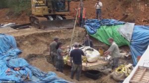 50883563 10312503 A New Dinosaur Skeleton Has Been Found In Missouri At An Undiscl A 23 1639739461044 مجلة نقطة العلمية