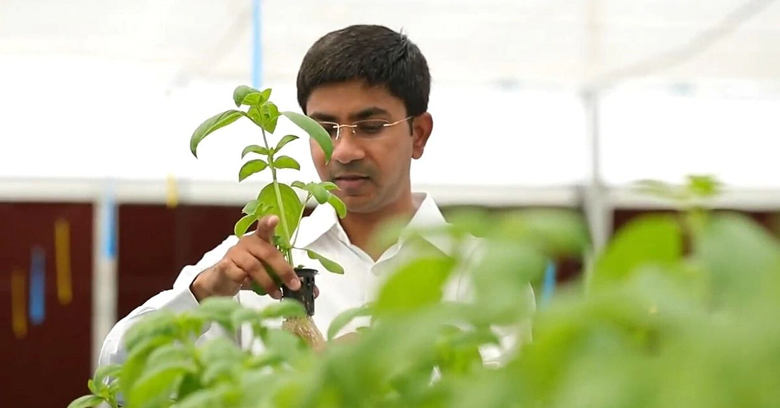 Pravin Patel 1650543488 الزراعة المائية تساعد آلاف المزارعين في الهند على زيادة الأرباح بنسبة 35٪ مجلة نقطة العلمية