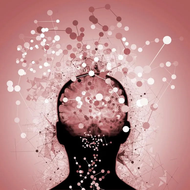 Neuroscience Brain Mapping Confusion Dementia 777x777 1 حالة شائعة لدى كبار السن ترتبط بشكل مدهش بالخرف! مجلة نقطة العلمية