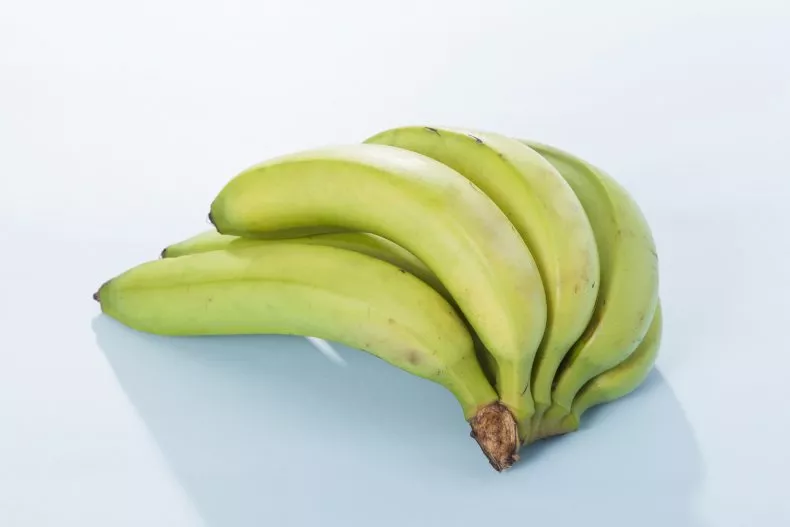 Bunch Unripened Green Bananas مجلة نقطة العلمية