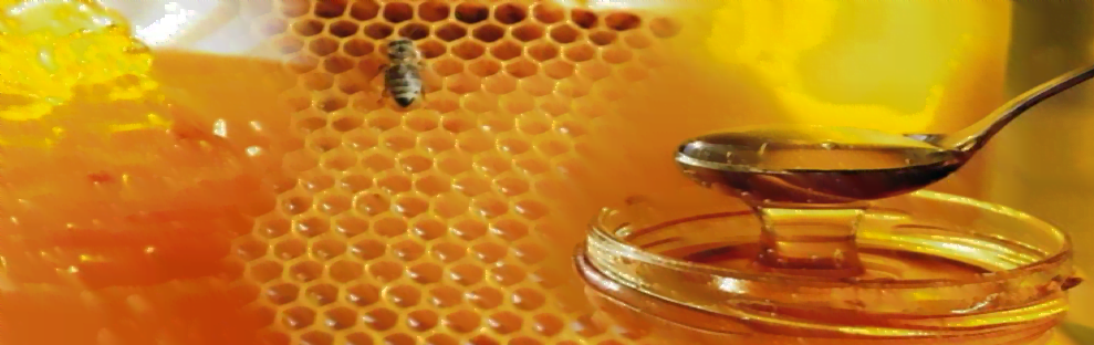 Screen Shot 2022 09 26 at 9.19.51 AM فوائد العسل العلاجية بين العلم والوهم مجلة نقطة العلمية