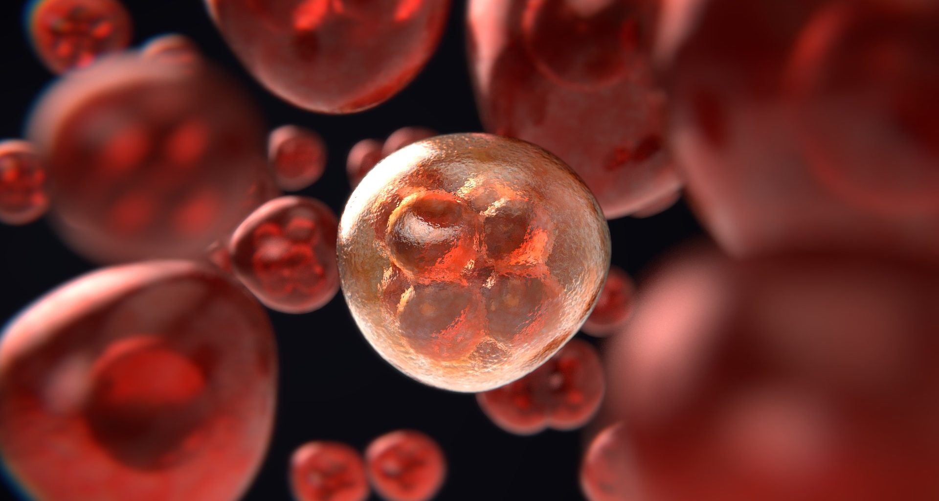 صورة لخلية سرطانية