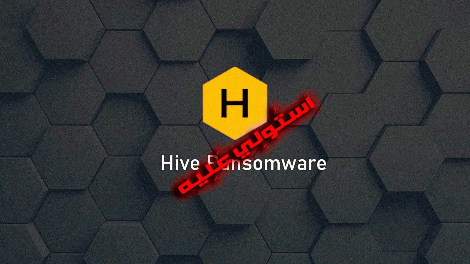 Hive Ransomware Seized